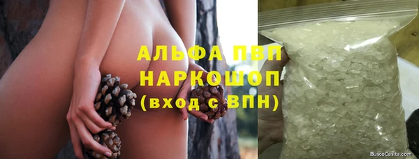 стаф Дмитров