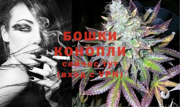 бошки Дмитровск