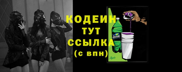 стаф Дмитров