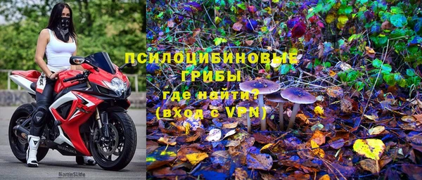 бошки Дмитровск