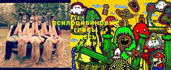 стаф Дмитров