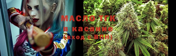 стаф Дмитров