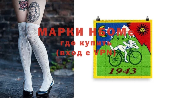 стаф Дмитров