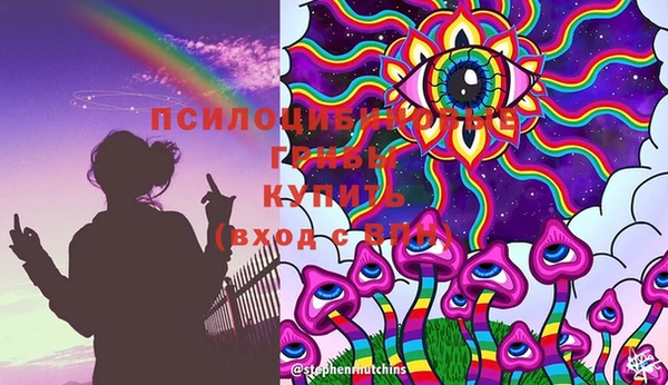 стаф Дмитров