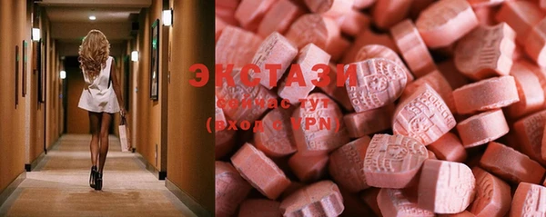 стаф Дмитров