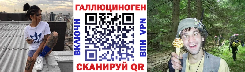 Псилоцибиновые грибы Psilocybe hydra ссылка Канск